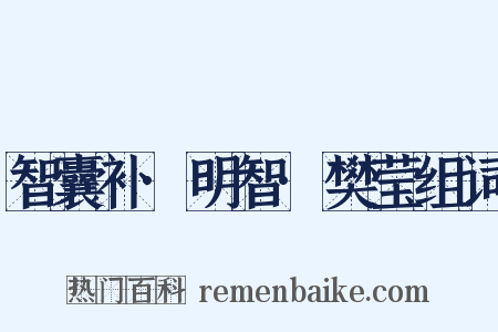 智囊补·明智·樊莹组词是什么意思的图片